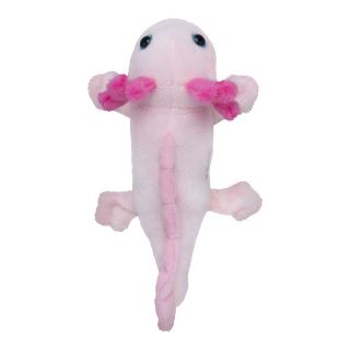 Obrázek z Magnet Axolotl plyš 